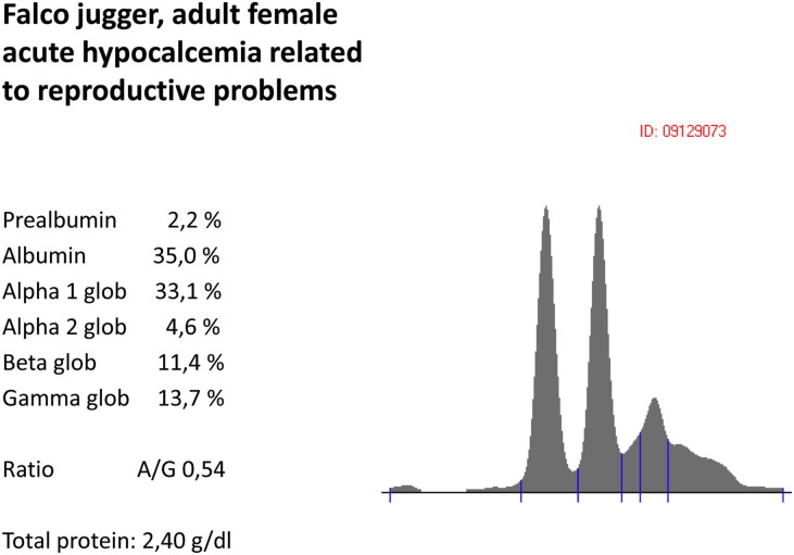 Fig. 11