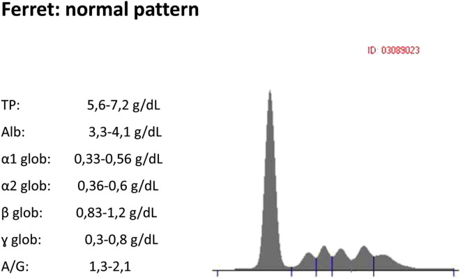 Fig. 2