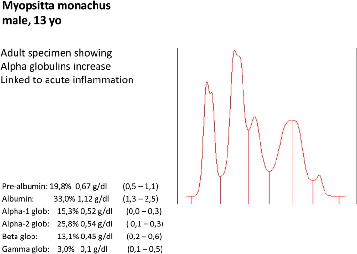 Fig. 7