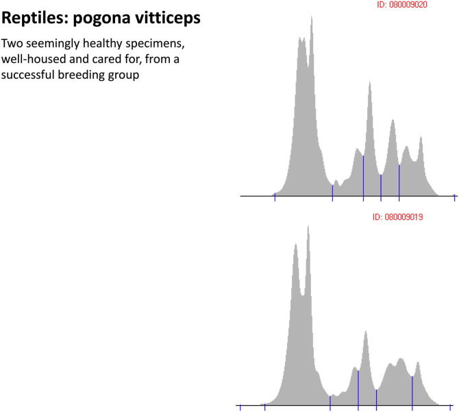 Fig. 12