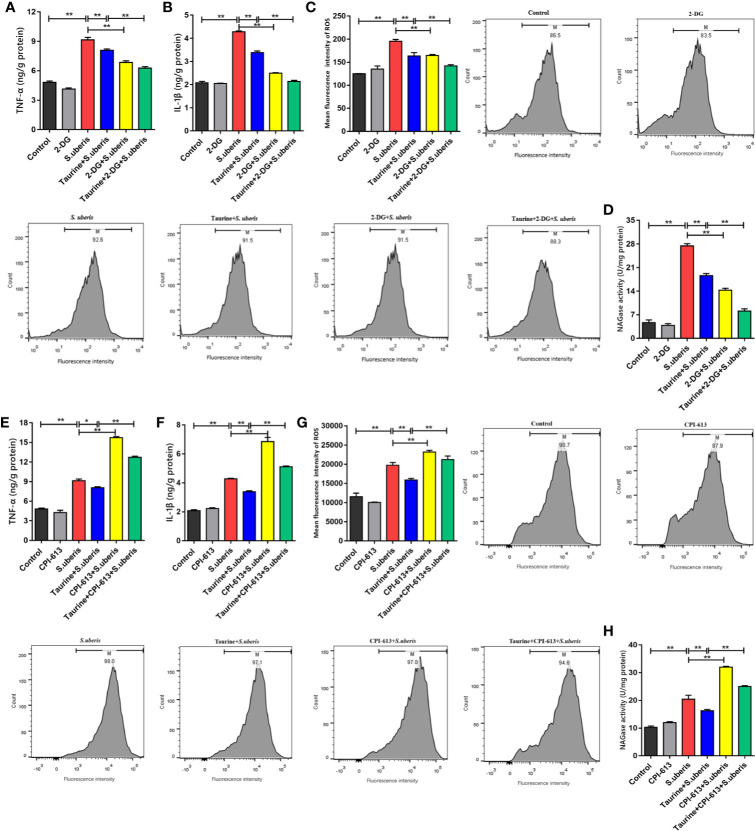 Figure 5