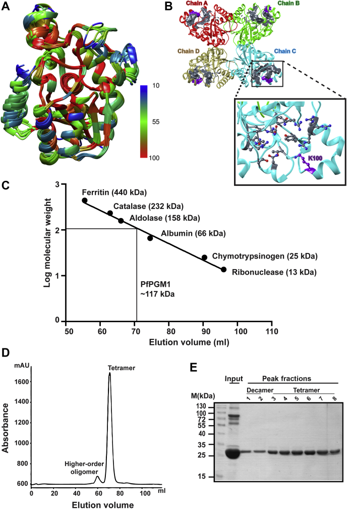 Figure 3