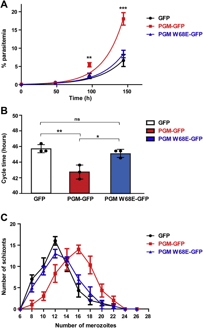 Figure 7