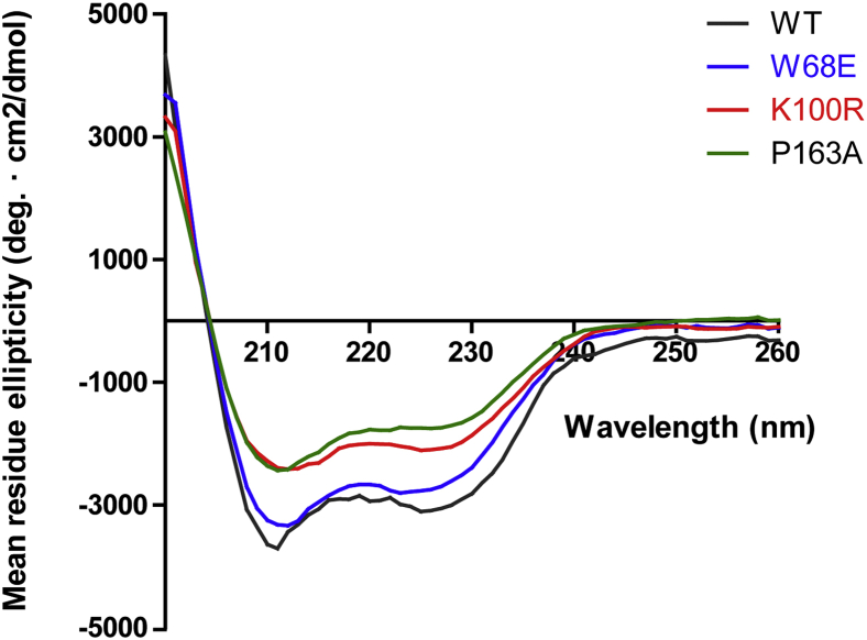 Figure 5