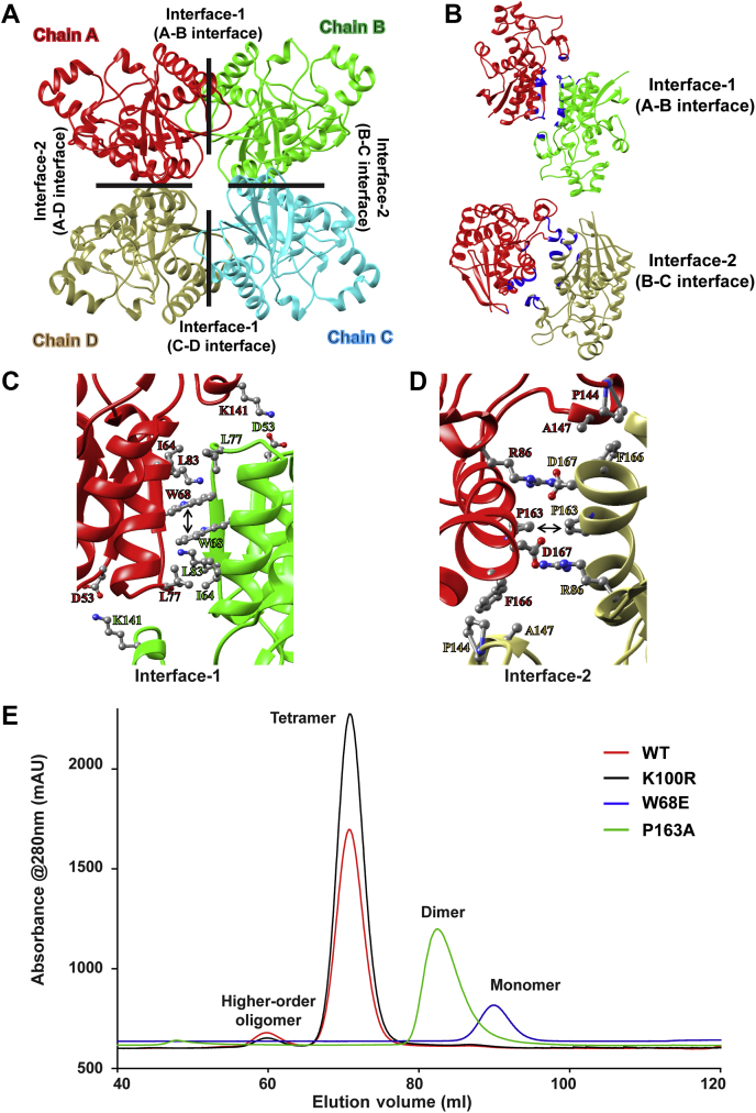 Figure 4