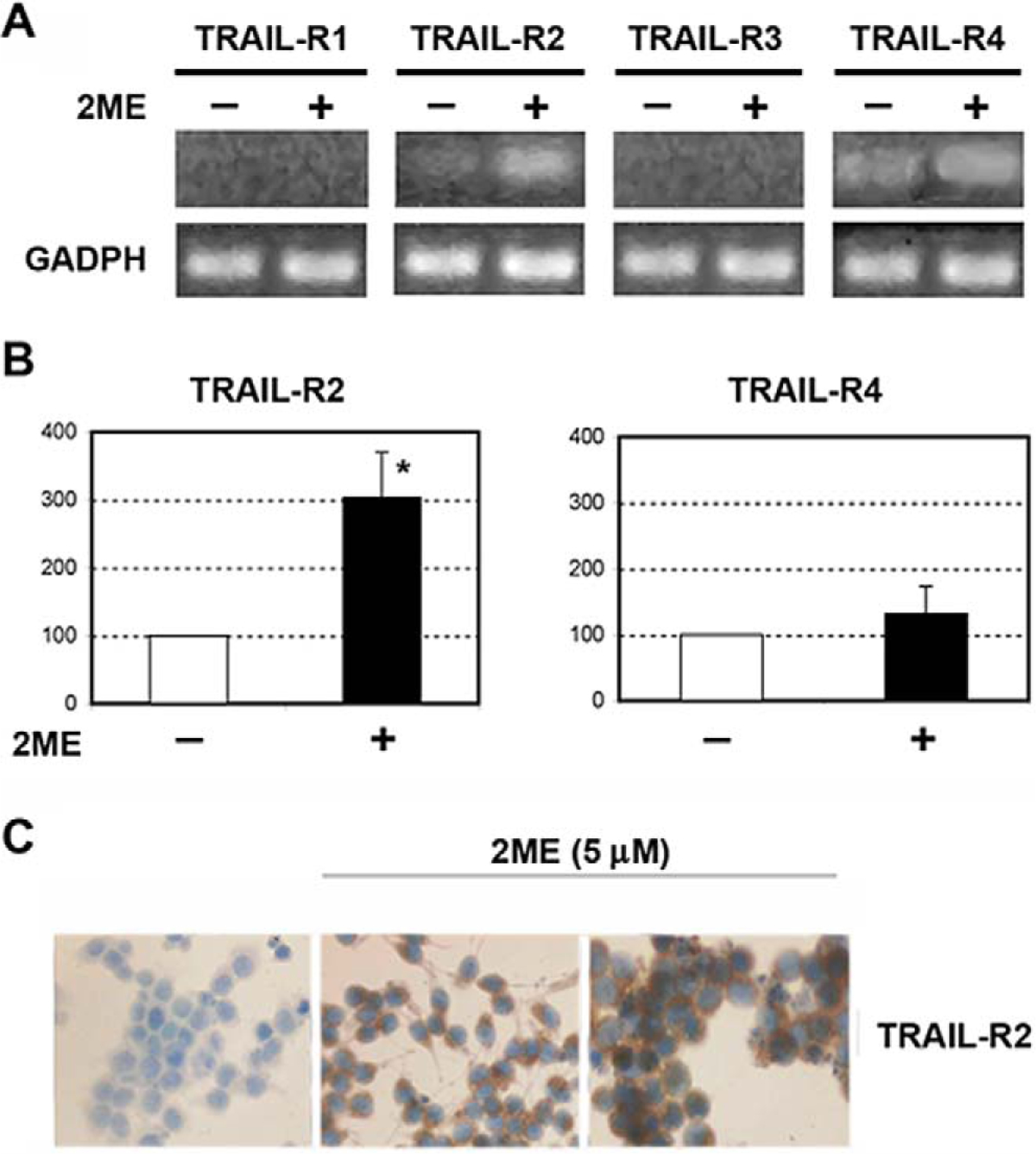 Figure 12.