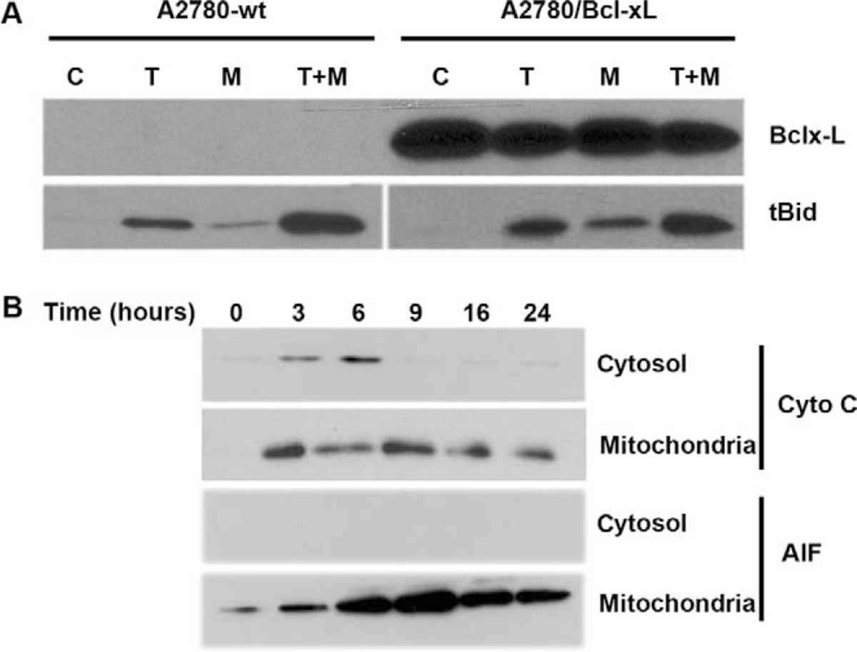 Figure 15.