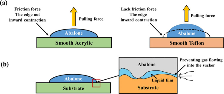 Fig 11