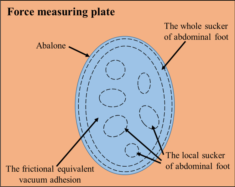 Fig 9