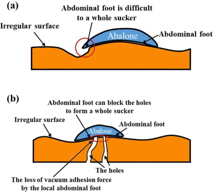 Fig 10