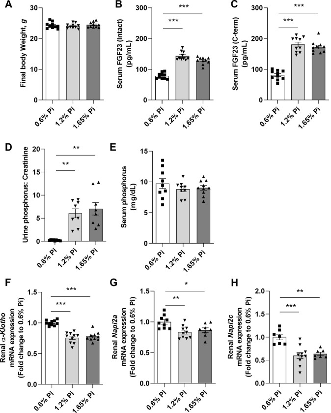 Phosphorus-independent role of FGF23 in erythropoiesis and iron ...