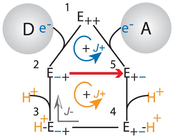 Figure 8