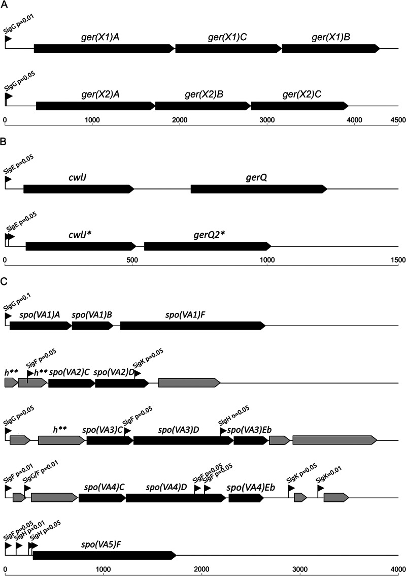 FIG 3