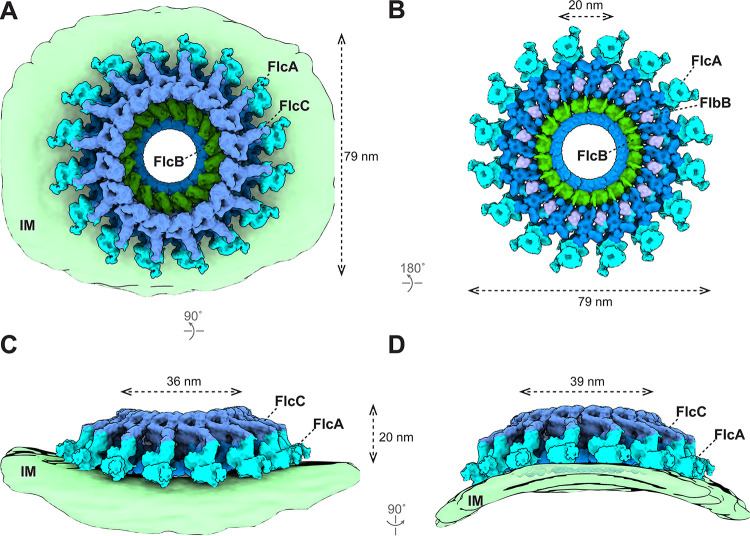 FIG 4