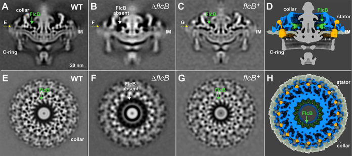 FIG 2