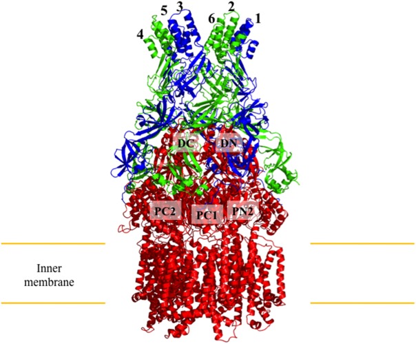 Figure 6