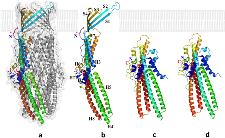 Figure 12