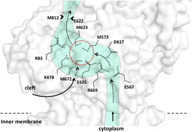 Figure 10