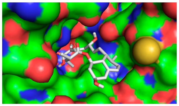 Figure 13