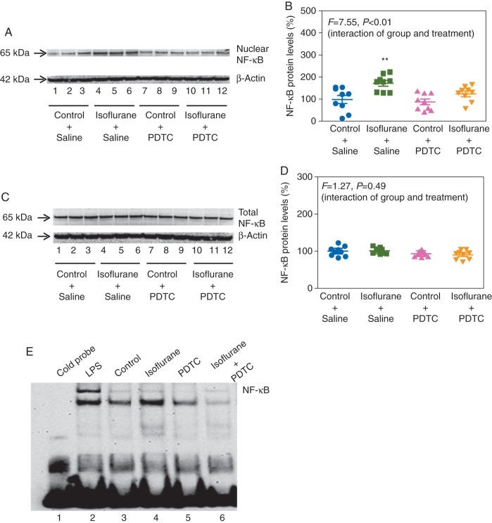 Fig 4