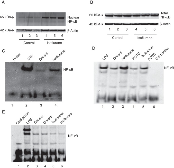 Fig 2