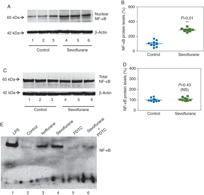 Fig 6