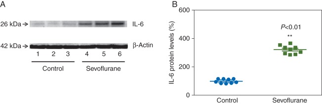 Fig 5