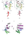 Figure 5—figure supplement 1.
