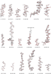 Figure 4—figure supplement 3.