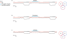 Figure 2—figure supplement 1.