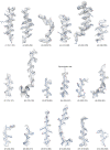 Figure 4—figure supplement 2.