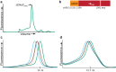 Figure 1—figure supplement 3.