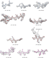 Figure 4—figure supplement 5.