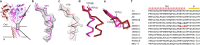 Figure 6—figure supplement 1.