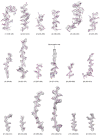 Figure 4—figure supplement 4.