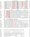 Figure 1—figure supplement 2.