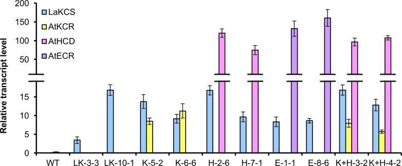 Fig 3