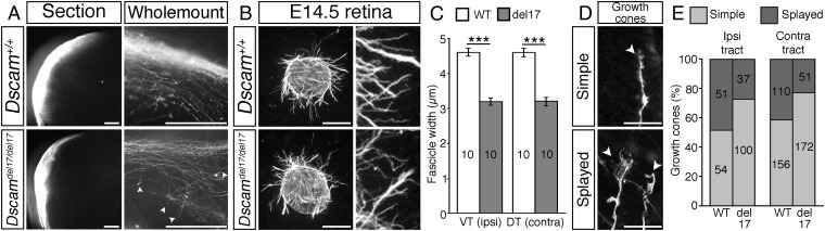 Fig. 3.