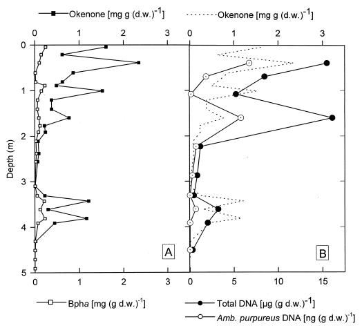 FIG. 6