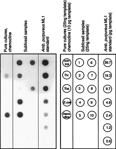 FIG. 5