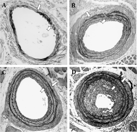 FIG. 4.