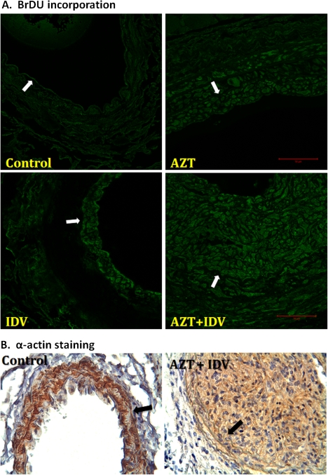 FIG. 6.