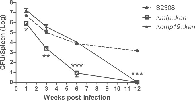 FIG 2