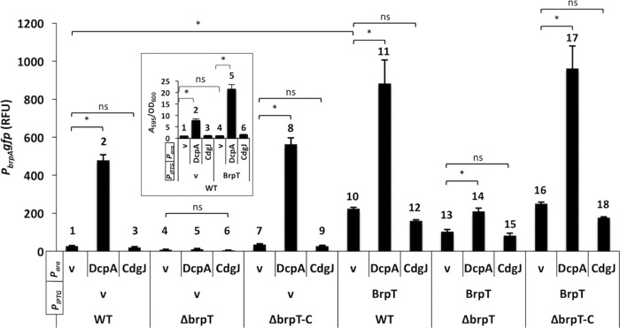 FIG 4