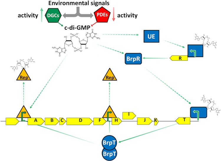 FIG 10