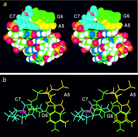 Figure 7