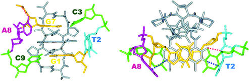 Figure 10