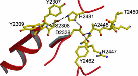 Fig. 4.