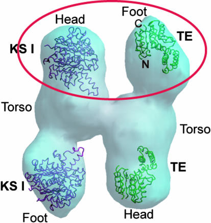 Fig. 6.