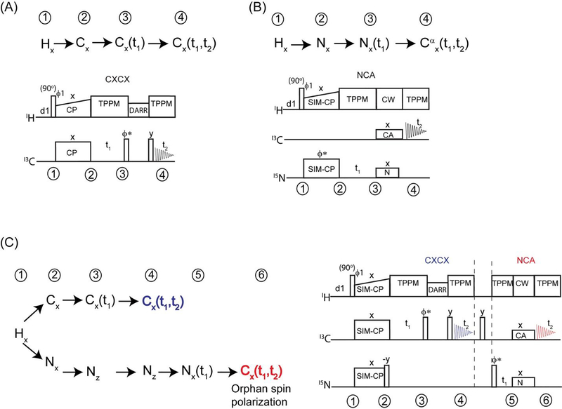 Figure 3: